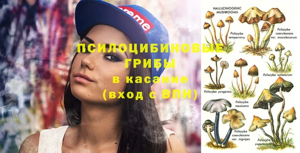 амф Балахна